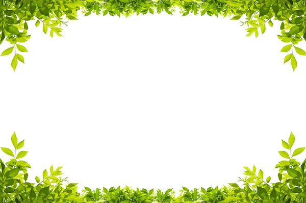 Leaves frame isolated on white background — Stok fotoğraf