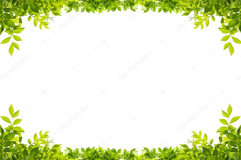 leaves frame isolated on white background