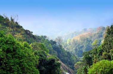 intanon dağ, chiangmai, Tayland kuzeyinde