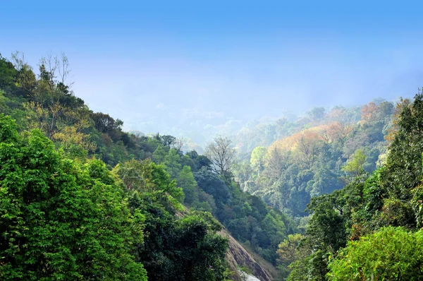 intanon dağ, chiangmai, Tayland kuzeyinde