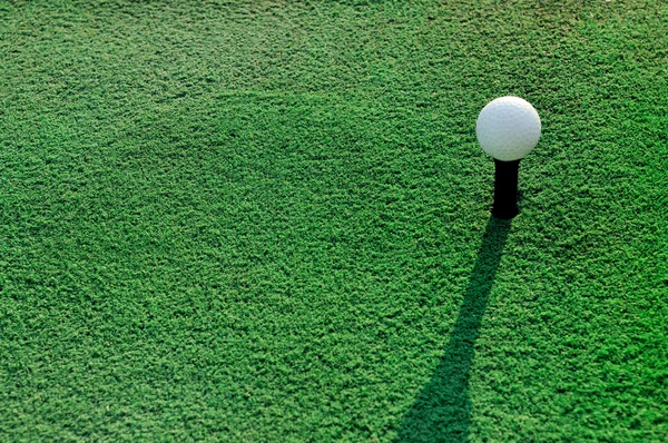 高尔夫球在球棒上绿草字段 — 图库照片