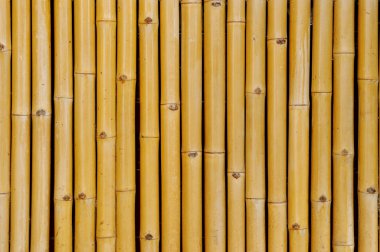 Bambu Arkaplanı