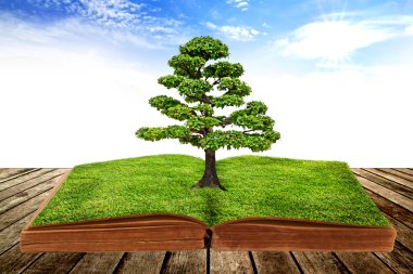 bir kitaptan büyük ağaç büyüme