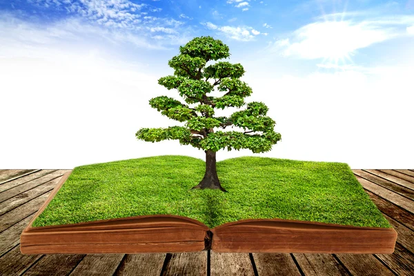 The big tree growth from a book — Stock Photo, Image