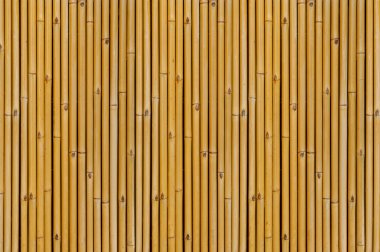 Bambu Arkaplanı