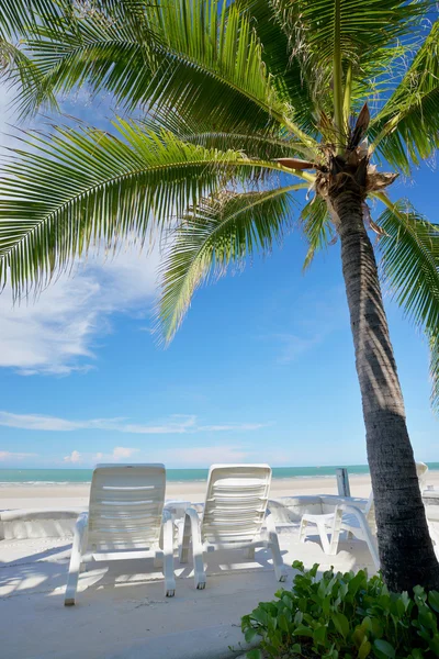 热带海滩、 放松，阳光躺椅中完美的地方 — 图库照片