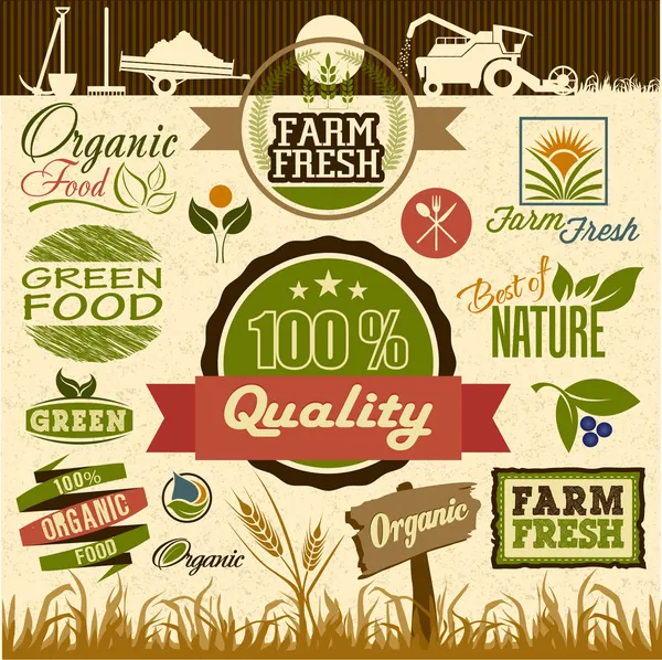 Set of Fresh Organic natural food Labels — Stock Vector