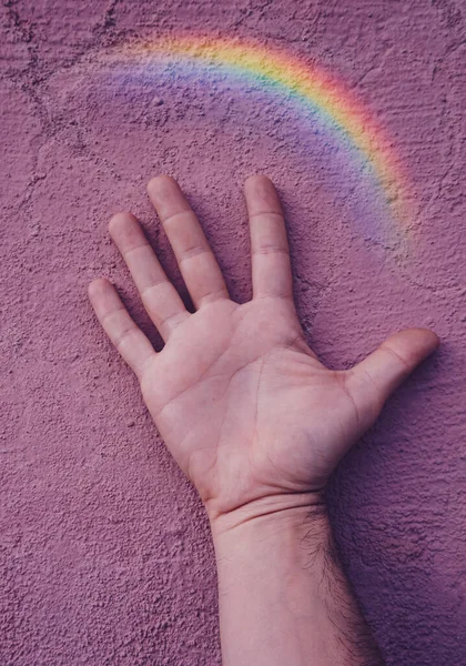 Hand Mit Einem Regenbogen Der Rosa Wand Lgbt Symbol — Stockfoto