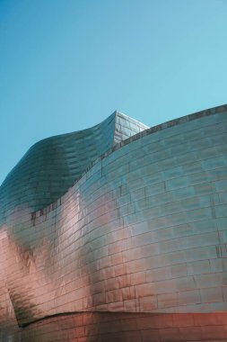              Guggenheim Bilbao Müzesi Mimarisi, Bilbao Şehir Seyahat Merkezleri                  