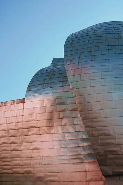 Музей Архитектуры Гуггенхайма Бильбао Бильбао Туристические Направления — стоковое фото