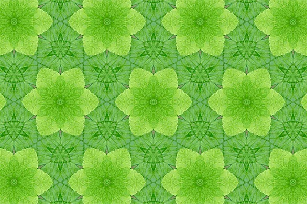 Zelené Abstraktní Texturované Pozadí Symetrické Tvary — Stock fotografie