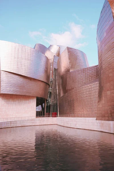 Музей Гуггенхайма Бильбао Страна Басков Испания Туристические Направления — стоковое фото