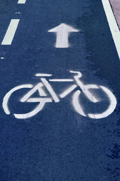 bicycle traffic signal on the road