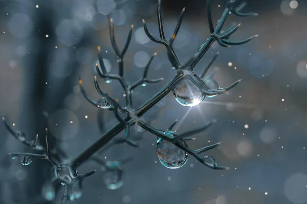 Lkbaharda Yağmurlu Günlerde Mavi Koyu Arka Planda Bitkinin Üzerine Bırak — Stok fotoğraf