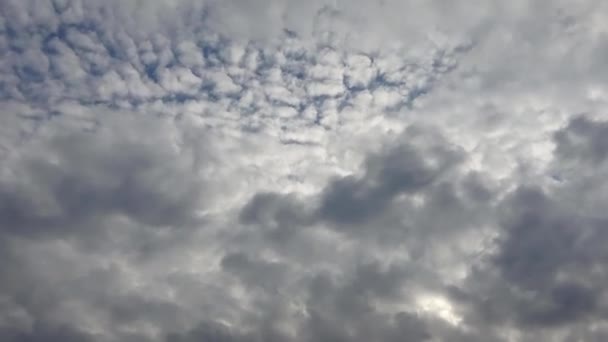 Wspaniałe Formacje Ciemnych Chmur Tuż Przed Burzą — Wideo stockowe
