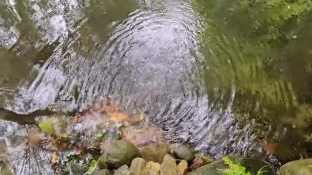 Eau Ruisseau Déverse Lentement Dans Petit Lac — Video