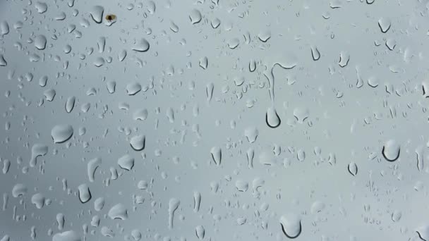 Rain Drops Running Window Close View — Stock Video