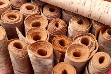 Güneşli bir günde kırsal bir ortamda, bir tarlanın önünde güzel sarı bir ayçiçeği.