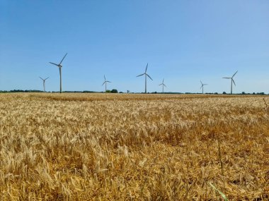 Rüzgâr parkındaki alternatif enerji değirmenlerine panoramik bakış