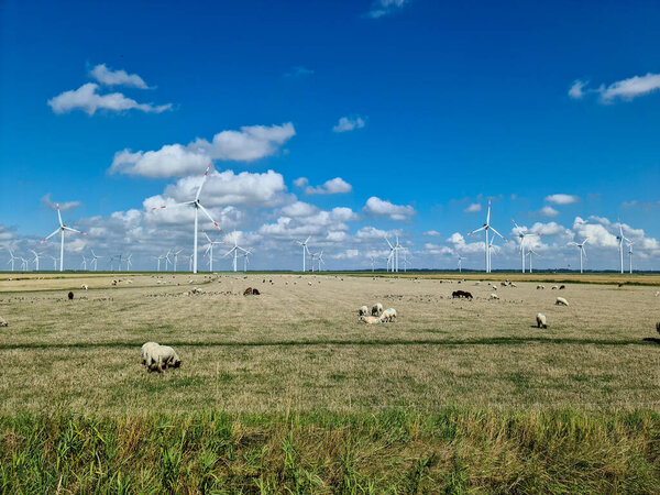 Панорамный вид на ветряные мельницы с альтернативной энергией в ветровом парке