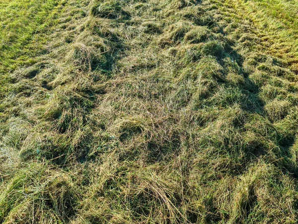 Vista Cerca Los Terrenos Agrícolas Verdes Con Hierba Heno —  Fotos de Stock