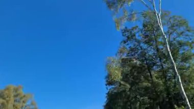Kuzey Almanya 'da hareket halindeki bir arabanın ön camından görüntü