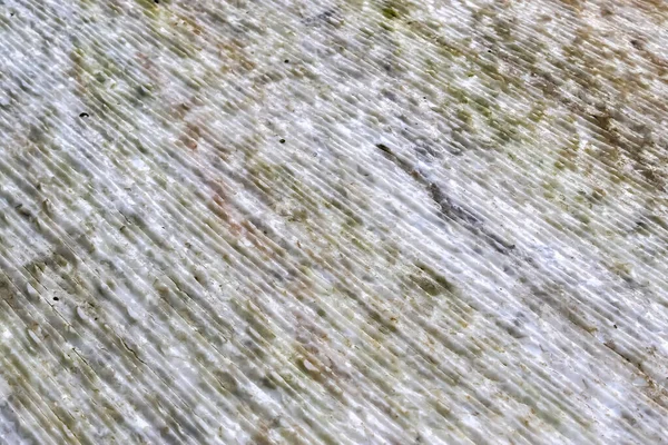 Beyaz Mermer Bir Taşın Yüzeyini Kapat — Stok fotoğraf