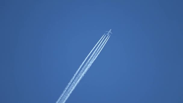 空を高く飛ぶジェット旅客機葉は澄んだ青い空に覆われています — ストック動画