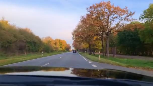 Zicht Door Voorruit Van Een Rijdende Auto Door Een Laan — Stockvideo