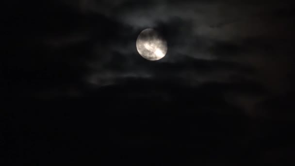 看着夜晚明亮的月亮 有几朵云彩掠过 — 图库视频影像