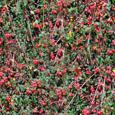 Organik bitki yapraklarının fotogerçekçi, pürüzsüz dokusu.