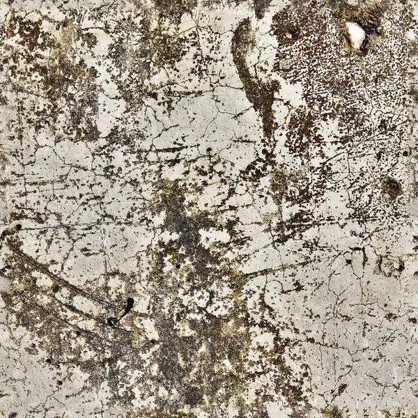 Фотография Реалистичный Бесшовный Текстурный Рисунок Выветриваемых Бетонных Стен Трещинами Высоком — стоковое фото