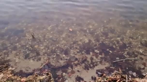 Vista Romántica Lago Atardecer Con Una Superficie Agua Reflectante — Vídeos de Stock