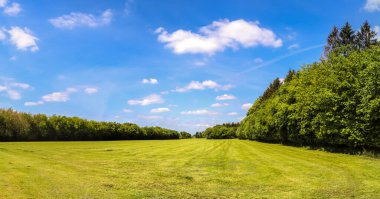 Danimarka ve Almanya 'da yeşil çimlerin bulunduğu yüksek çözünürlüklü güzel bir manzara.