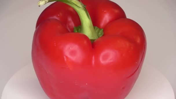 Loopable Πλάνα Από Ένα Μόνο Bell Pepper Γυρίζοντας Λευκό Φόντο — Αρχείο Βίντεο