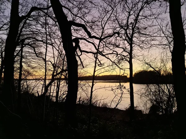Ein See Bei Sonnenuntergang Mit Baumsilhouetten — Stockfoto