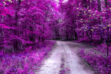 Beautiful pink and purple infrared panorama of a forest clipart
