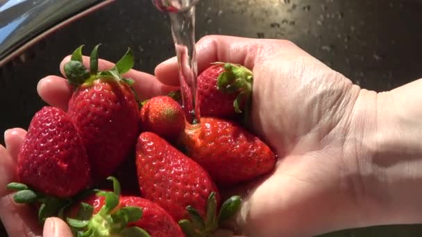 Strawberries Female Hands Water Jet Faucet Washing — Stock Video