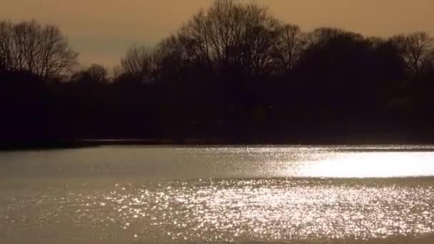 Sonho Por Sol Superfície Água Lago Com Água Cintilante — Vídeo de Stock