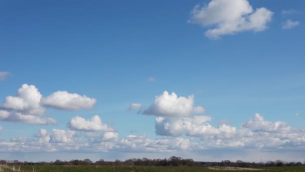 Проміжок Часу Пухнастих Білих Красивих Хмарних Утворень Глибокому Синьому Літньому — стокове відео