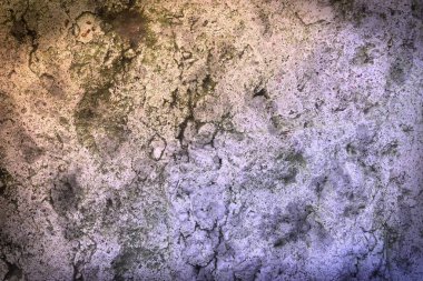 Klasik taş zemin, kopyalama alanı. Gri beton taşexture, metin yeri şablonu