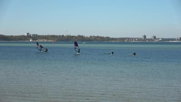 People Doing Beach Activities Surfing Boating Sunny Day Baltic Sea — ストック動画