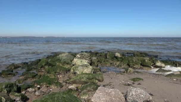 Low Angle View Water Waves Coast Baltic Sea Beach Sunny — Vídeos de Stock