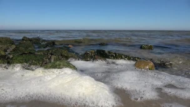 晴れた日にはバルチック海のビーチの海岸で波の低角度ビュー — ストック動画
