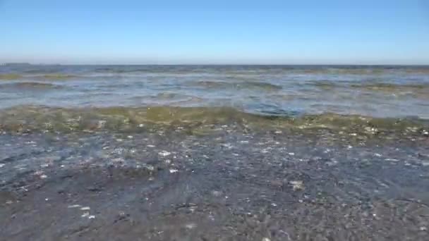Vista Ângulo Baixo Ondas Água Costa Uma Praia Baltica Dia — Vídeo de Stock