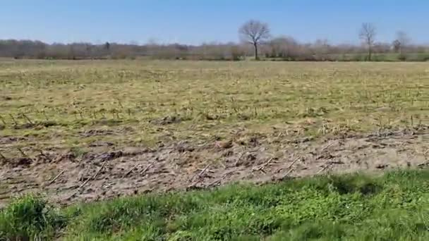 Boční Pohled Zemědělská Pole Louky Procházející — Stock video