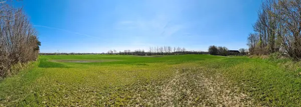 欧洲北部乡村风景全景 田野绿草丛生 — 图库照片