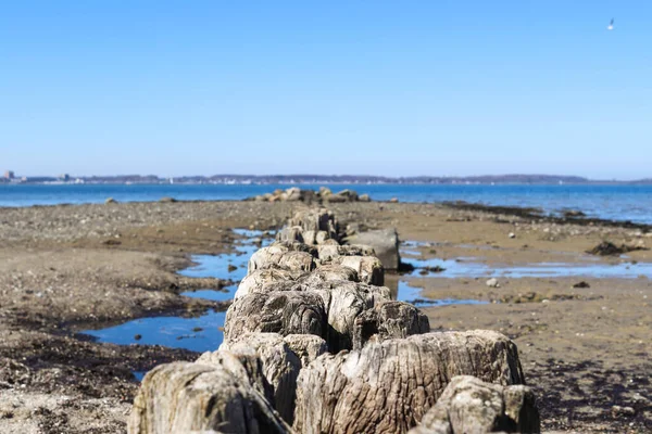 Beautiful Beaches Baltic Sea Sunny Day Northern Germany — Stock Photo, Image