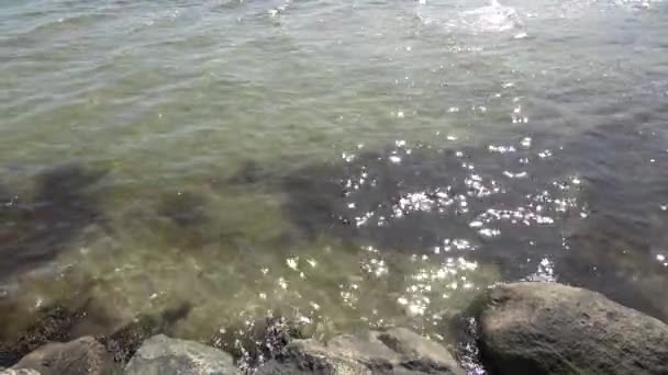 波罗的海的水面 水面上有太阳的闪光反射 — 图库视频影像