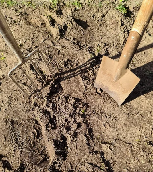 Garden tools such as a shovel and a fork on earthy freshly dug soil